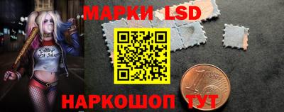 индика Рузаевка