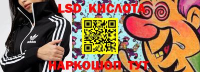 индика Рузаевка