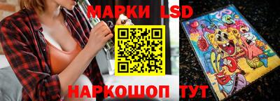 индика Рузаевка