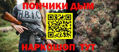 индика Рузаевка
