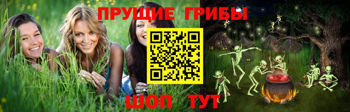 Химки  Галлюциногенные грибы Magic Shrooms  Вход с VPN  Псилоцибиновые грибы Cubensis 