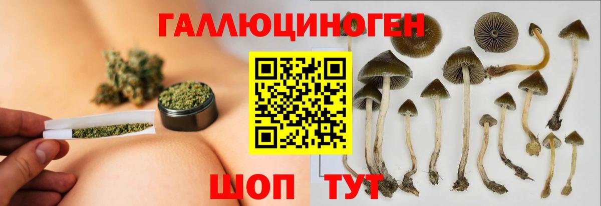 Псилоцибиновые грибы прущие грибы Химки